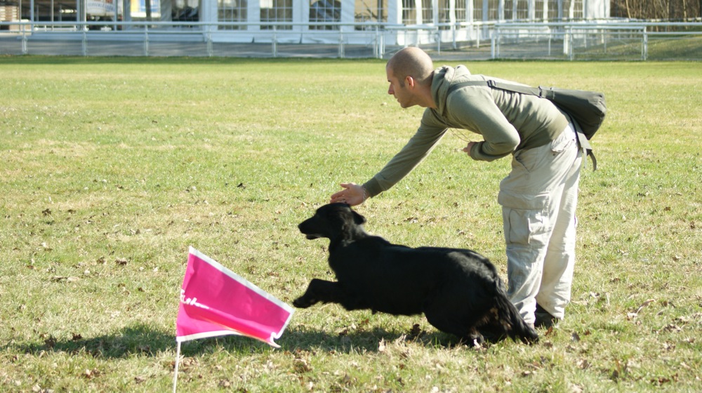 Dummytraining<br><small>Aarau ’11</small>