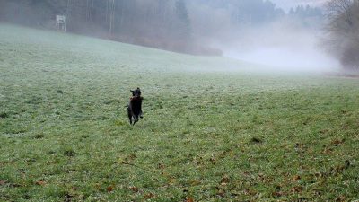 Christmas-Training<br><small>Alsace/France ’13</small>