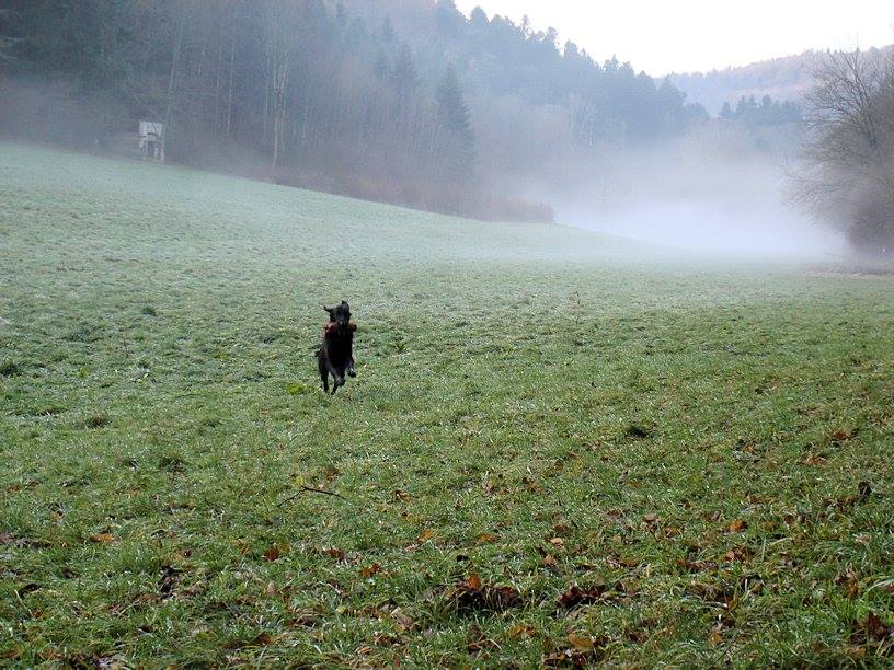 Christmas-Training<br><small>Alsace/France ’13</small>