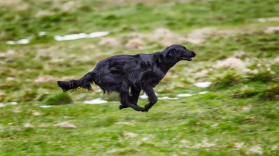 Trainingsweekend<br><small>Andermatt ’15</small>