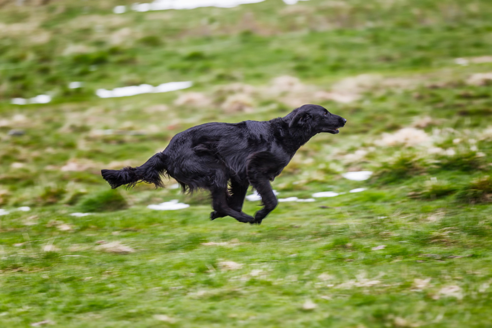 Trainingsweekend<br><small>Andermatt ’15</small>