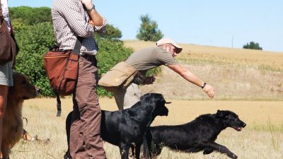 WRCI Working Days<br><small>Bologna/Italy ’15</small>