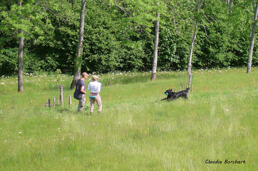 Workingtest<br><small>Combrimont/France ’14</small>