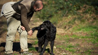 Shot n› Retrieve & Workingtest<br><small>Bülach & Como/Italy ’14</small>