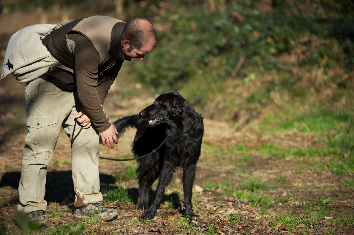 Shot n› Retrieve & Workingtest<br><small>Bülach & Como/Italy ’14</small>