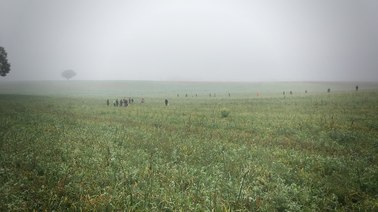 Field Trial<br><small>Confrançon/France ’16</small>