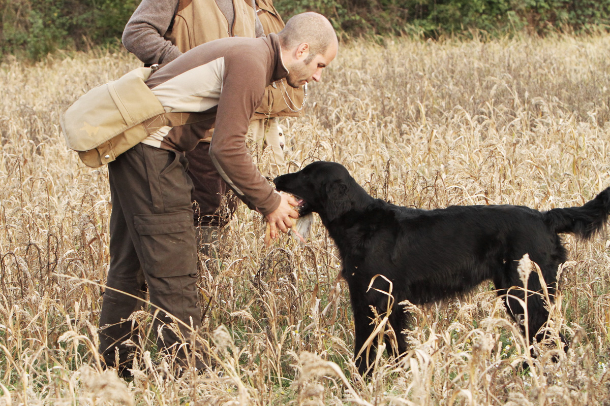 Field Trial<br><small>Sologne/France ’14</small>