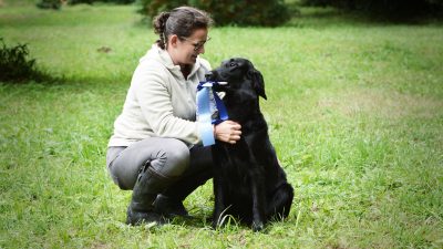 FCR-Trophy Work & Show<br><small>Harburg/Germany ’17</small>