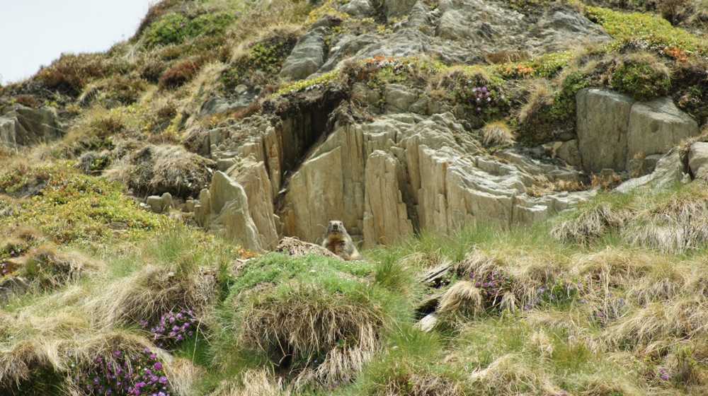 Wanderung & Training<br><small>Gotthard ’11</small>