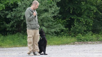 Hunde(führer)schule<br><small>Bremgarten ’10</small>