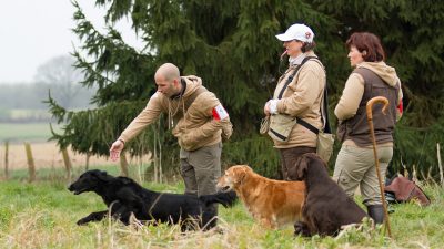 International Workingtest<br><small>Belgium ’16</small>