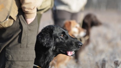 IWT Training<br><small>Masserano/Italy ’16</small>