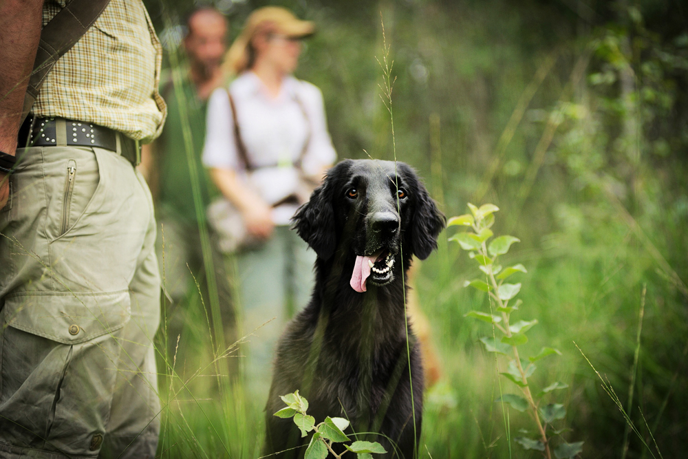 Field Trial Training<br><small>Masserano/Italy ’15</small>