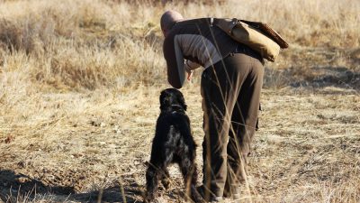 Field Trial Training<br><small>Masserano/Italy ’16</small>