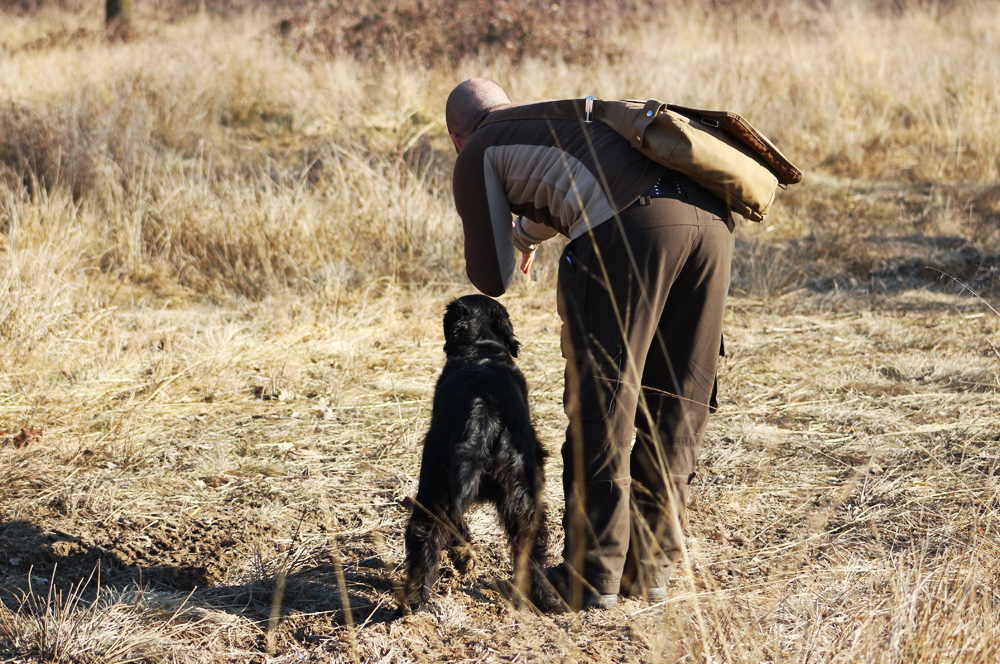 Field Trial Training<br><small>Masserano/Italy ’16</small>