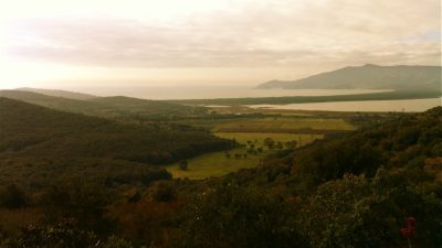 Picking-up<br><small>Tuscany/Italy ’13</small>