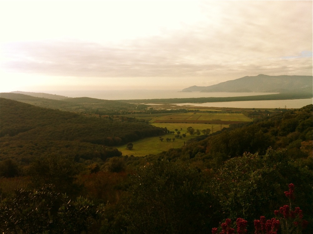 Picking-up<br><small>Tuscany/Italy ’13</small>