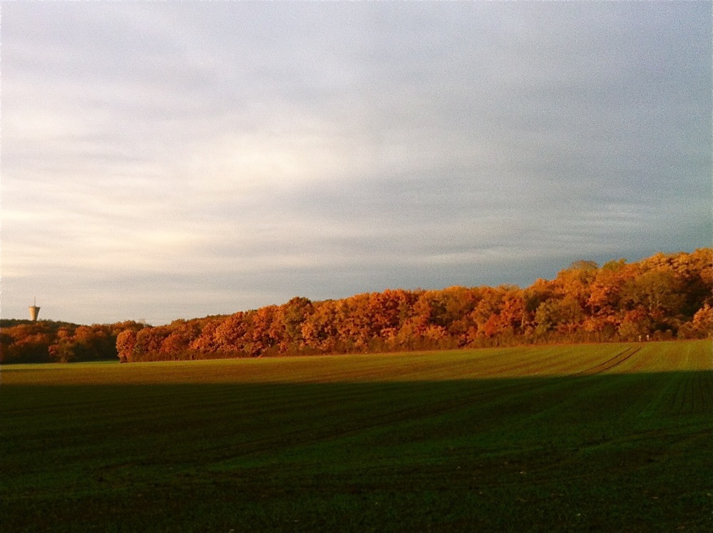 Picking-up<br><small>France ’12</small>