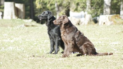 Trainingsweekend<br><small>Waltenschwil & Sellamatt ’12</small>