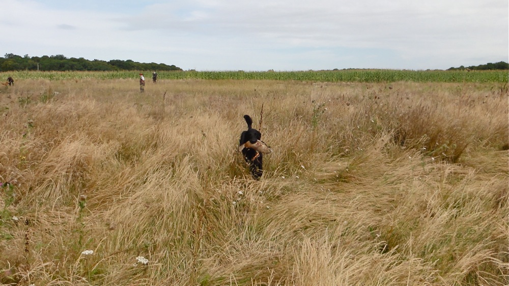 Chasse en Sologne<br><small>France ’13</small>