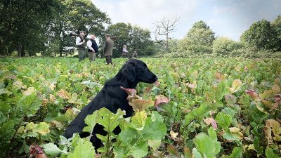 UK-Trip & Field Trial<br><small>UK/France ’19</small>