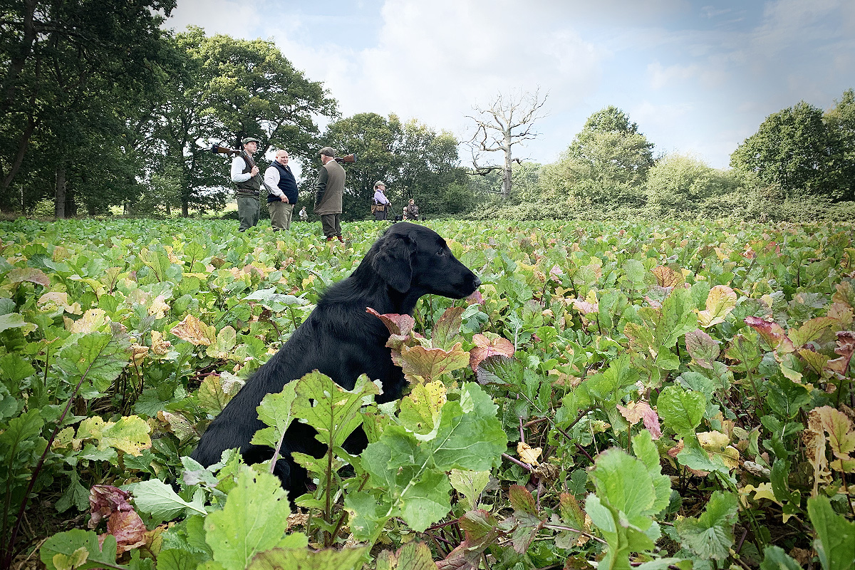 UK-Trip & Field Trial<br><small>UK/France ’19</small>